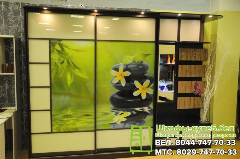 Шкаф-купе с фотопечатью