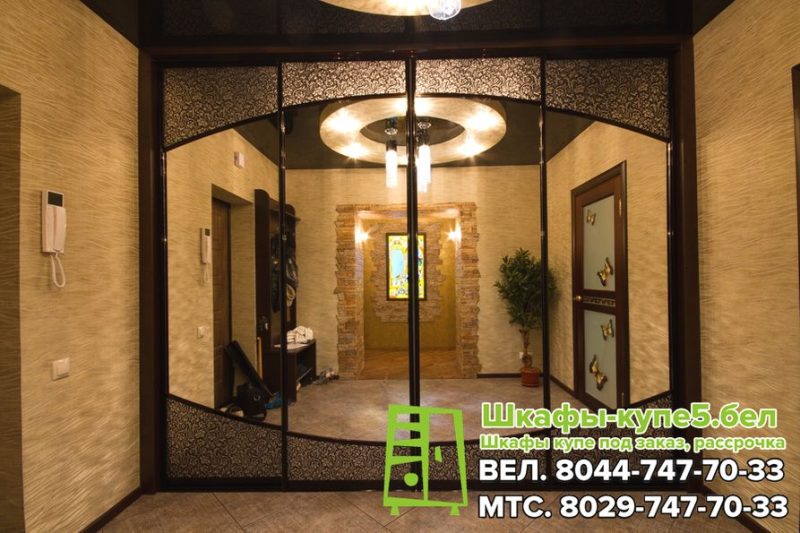 Шкаф-купе с зеркалом и ЛДСП