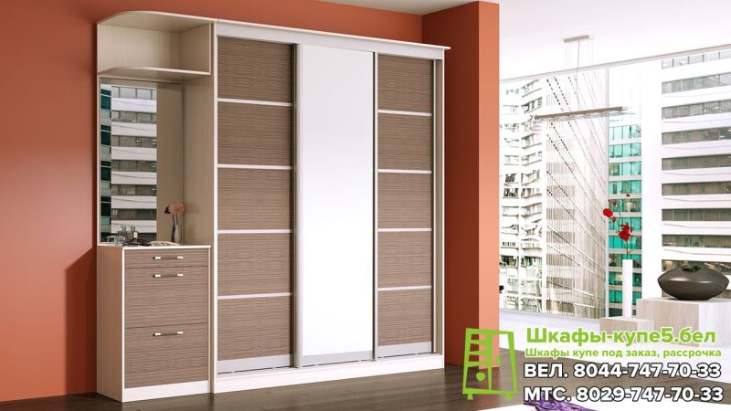 Корпусный шкаф-купе в прихожую