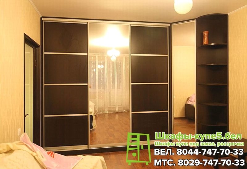 13-33-1 Комбинированный шкаф купе с зеркалом и ДСП