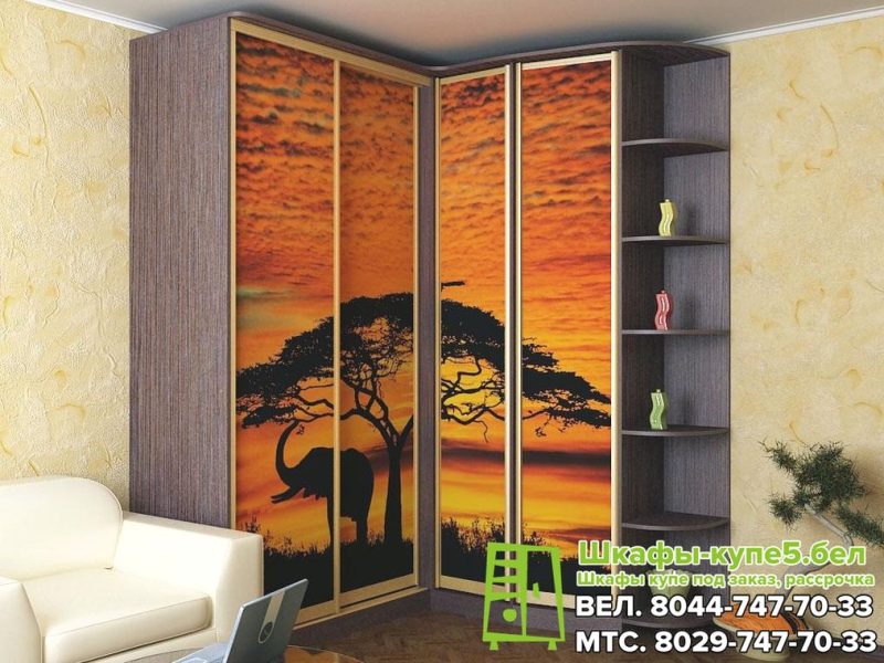 Шкаф-купе с фотопечатью на 4 двери