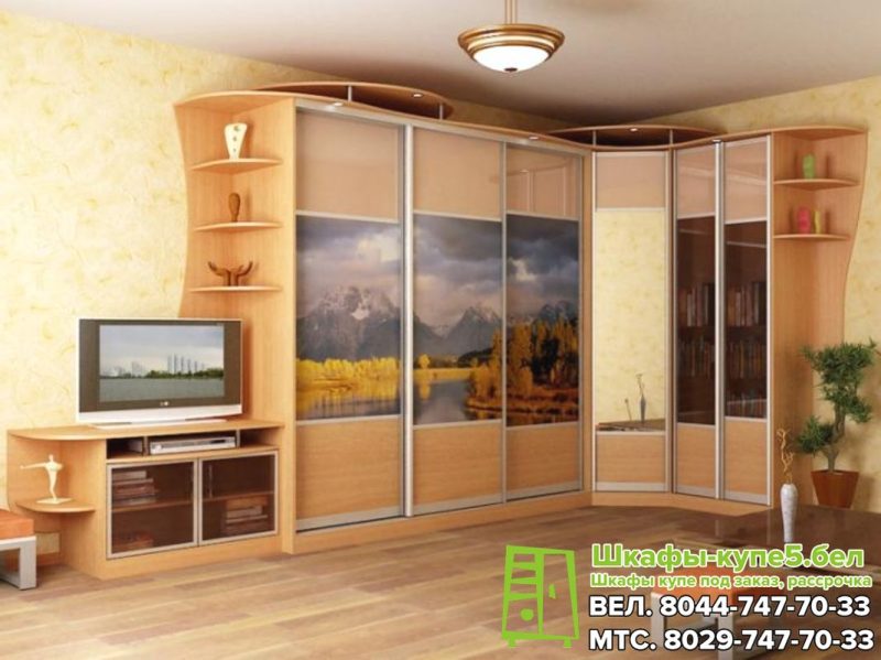 Шкаф-купе в зал с фотопечатью